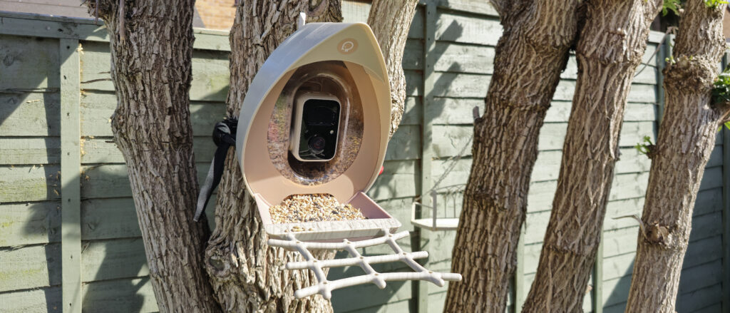 PeckPerk Smart Bird Feeder camera review: This acorn-shaped AI bird camera is great for budding bird watchers PeckPerk bird camera review