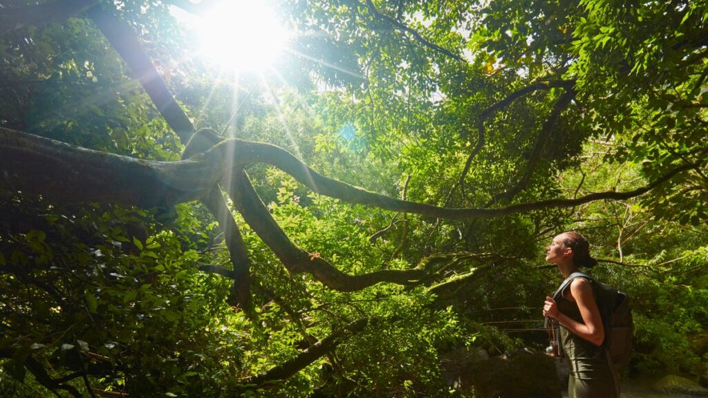 Zero Waste Travel: The Ultimate Plastic-Free Packing List woman backpacking in sunny forest