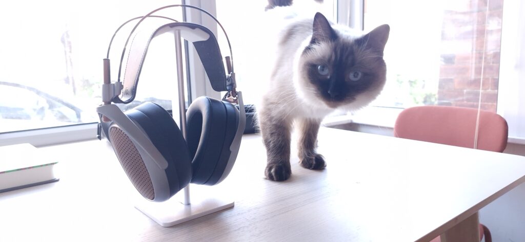Meze Audio Poet headphones on a wooden table