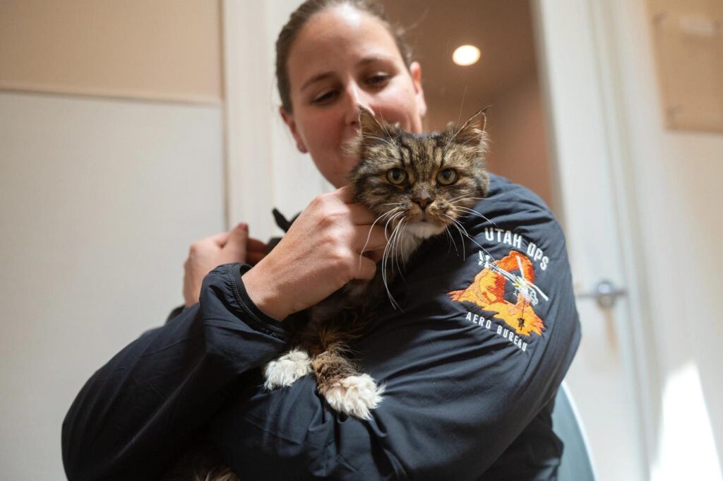 Pilot Adopts Cat She Rescued After 380-Foot Fall In National Park
