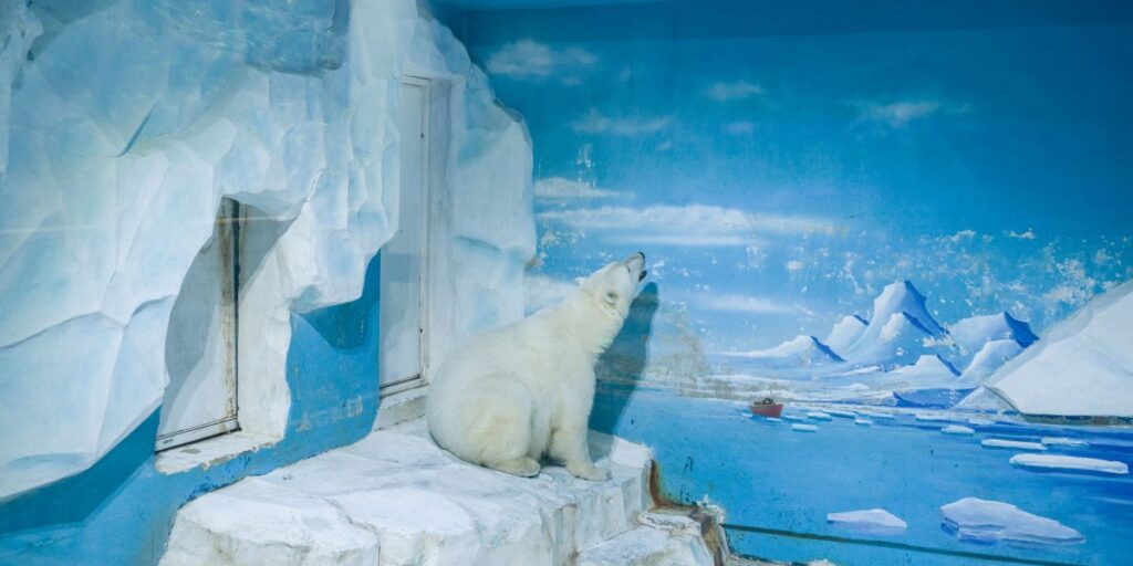 The Anthropocene illusion The Anthropocene illusion