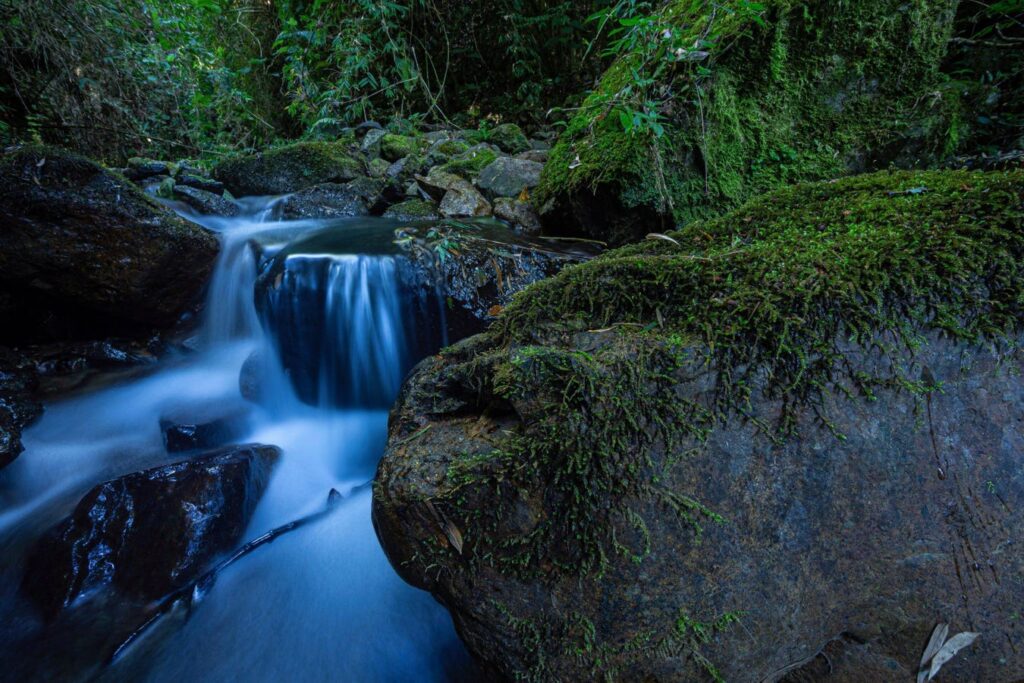 Three New-To-Science Frog Species Discovered In Peru’s Remote Andes Three New-To-Science Frog Species Discovered In Peru’s Remote Andes