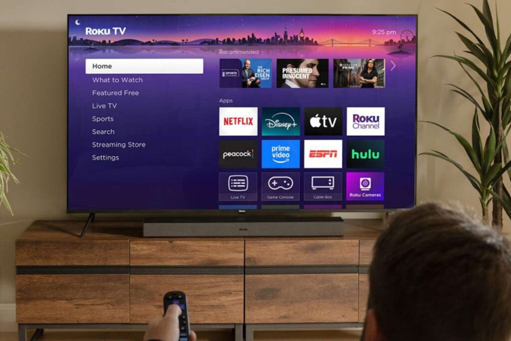Turn Off the Narrator on Roku With Ease