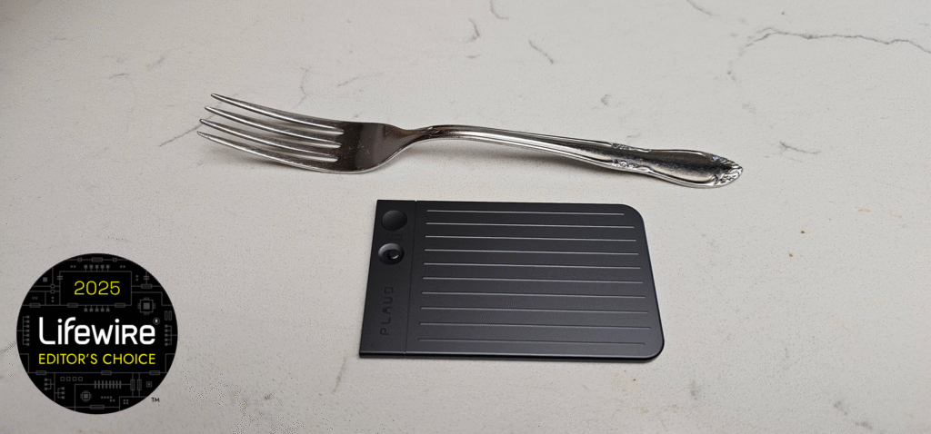 Can This Little Thing Save Your Brain?