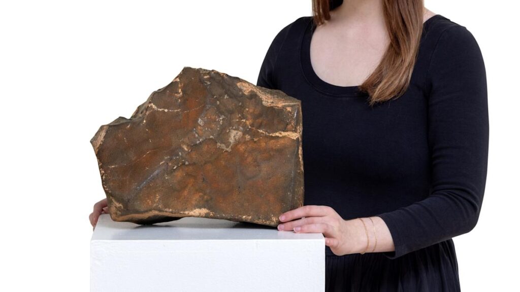 Someone paid $5.3 million for a piece of Mars