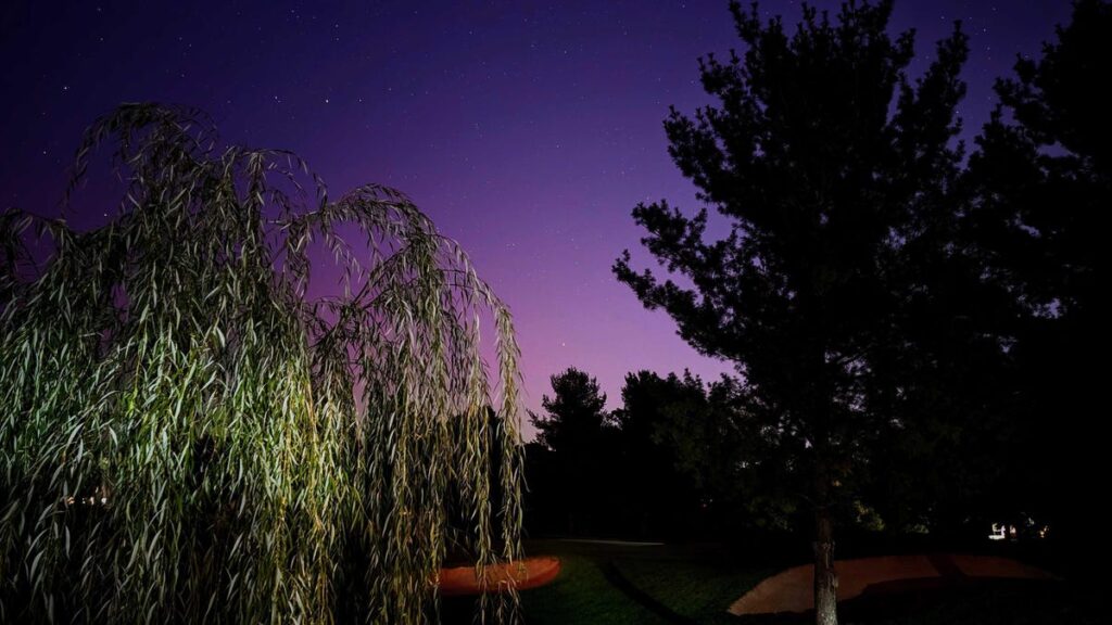 You Can Still See the Aurora Borealis Tonight. Here’s Where the Brightest Lights Will Glow Purple aurora glow with trees in the foreground