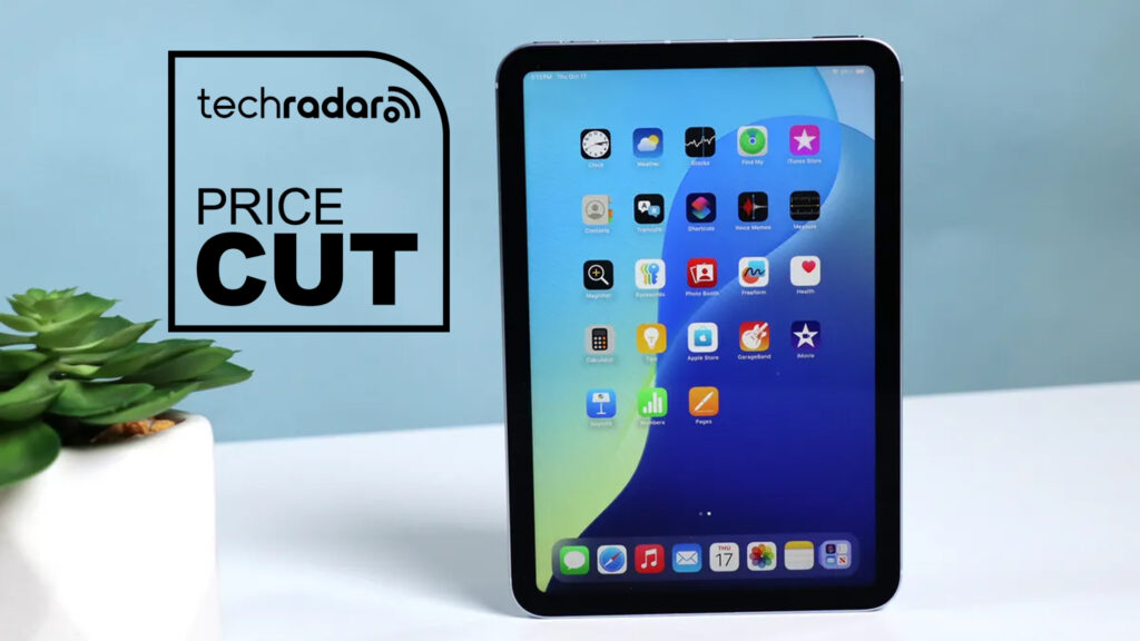 iPad Mini's vertical face and home screen