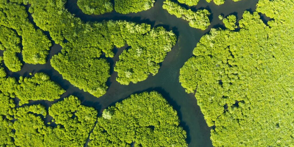 The greenhouse gases we're not accounting for
