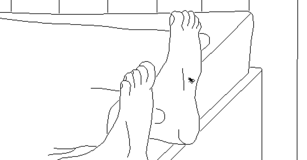 Time Flies is a short meditation on the meaning of life