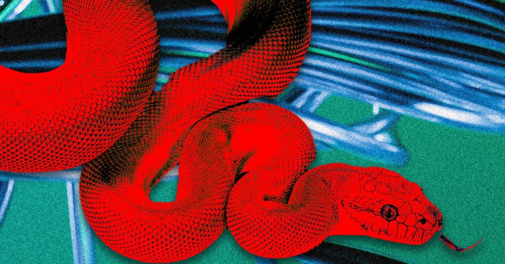 This ‘Privacy Browser’ Has Dangerous Hidden Features