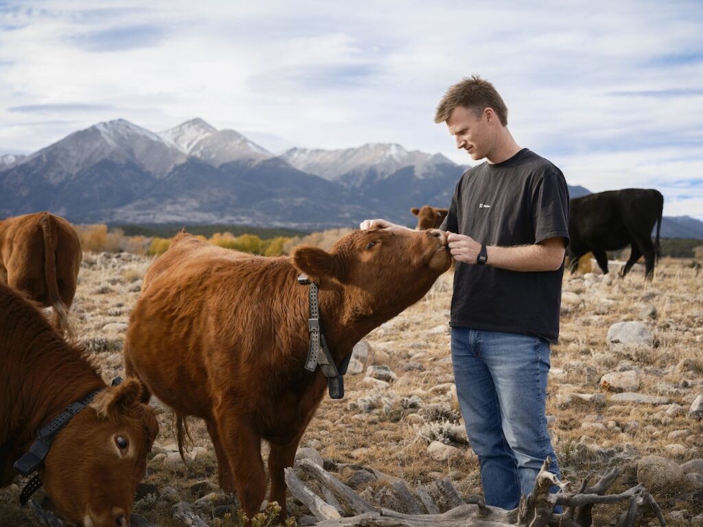 Unpacking Peter Thiel's big bet on solar-powered cow collars